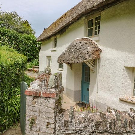 Elworthy Cottage Salcombe Exteriér fotografie
